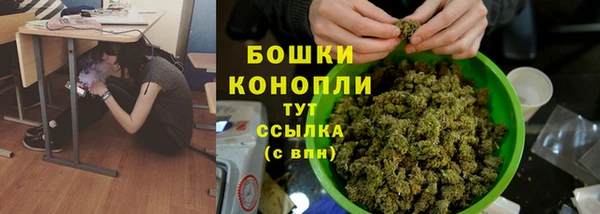мдпв Вязники