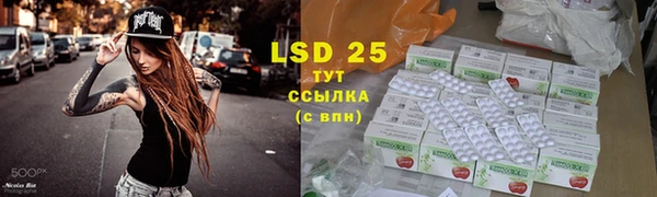 мдпв Вязники