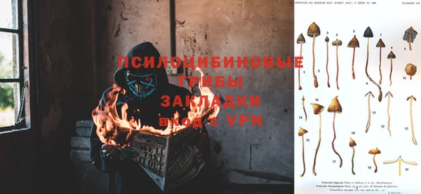 мдпв Вязники