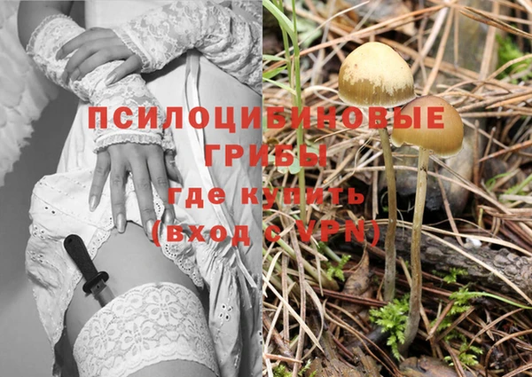 мдпв Вязники