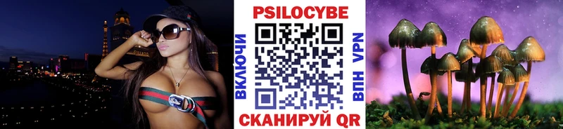 Галлюциногенные грибы прущие грибы  Купить  Кашин 